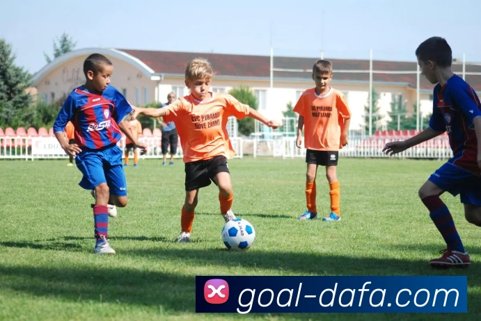 大发娱乐平台生态图